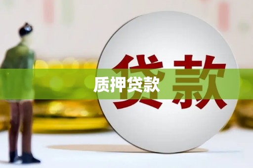 大邑质押贷款