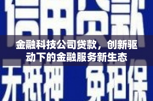 边坝金融科技公司贷款，创新驱动下的金融服务新生态