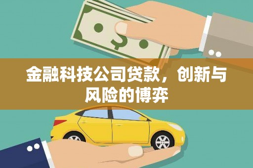 龙岗金融科技公司贷款，创新与风险的博弈