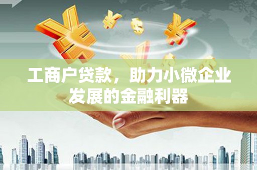 芦淞工商户贷款，助力小微企业发展的金融利器