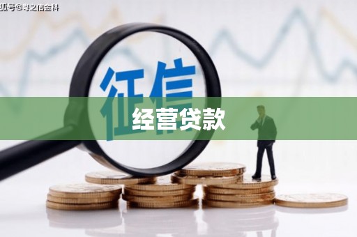 隆尧经营贷款