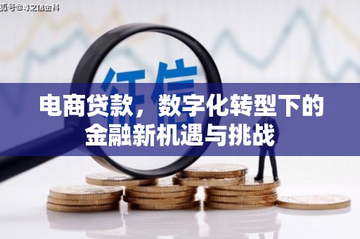 西昌电商贷款，数字化转型下的金融新机遇与挑战
