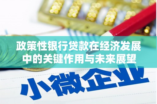 汉源政策性银行贷款在经济发展中的关键作用与未来展望