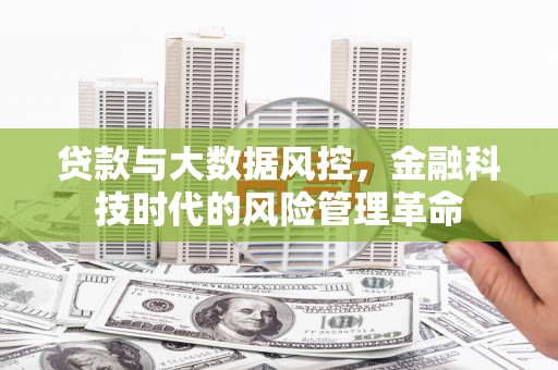 任丘贷款与大数据风控，金融科技时代的风险管理革命