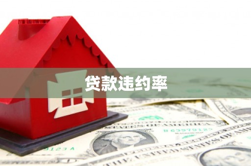 邵阳贷款违约率