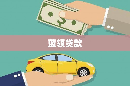 新蔡蓝领贷款