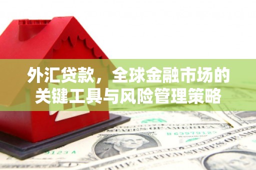 衢州外汇贷款，全球金融市场的关键工具与风险管理策略