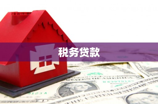 望谟税务贷款
