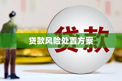 雁江贷款风险处置方案