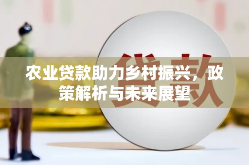 阜宁农业贷款助力乡村振兴，政策解析与未来展望