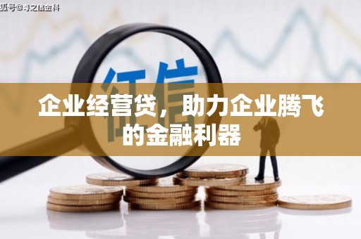 刚察企业经营贷，助力企业腾飞的金融利器