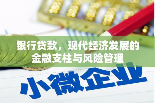 尚义银行贷款，现代经济发展的金融支柱与风险管理