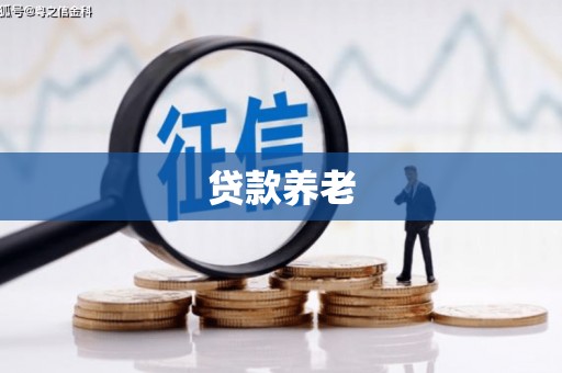 遂昌贷款养老