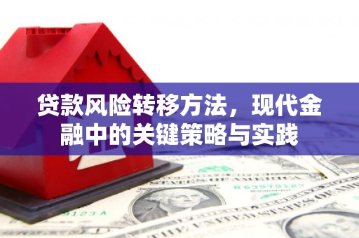绥阳贷款风险转移方法，现代金融中的关键策略与实践