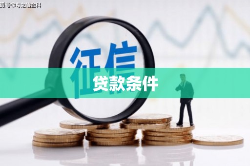 林园贷款条件