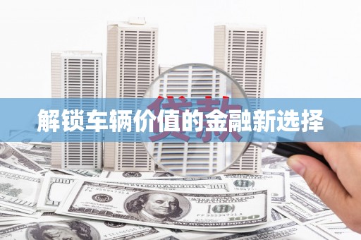 泸溪解锁车辆价值的金融新选择