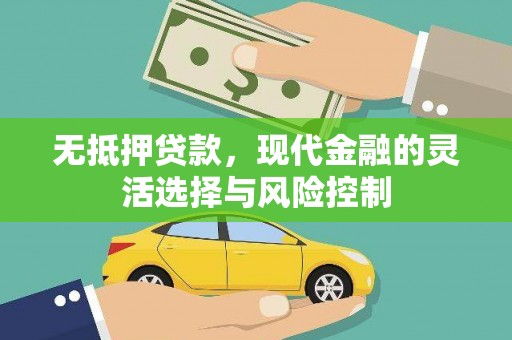 额济纳旗无抵押贷款，现代金融的灵活选择与风险控制
