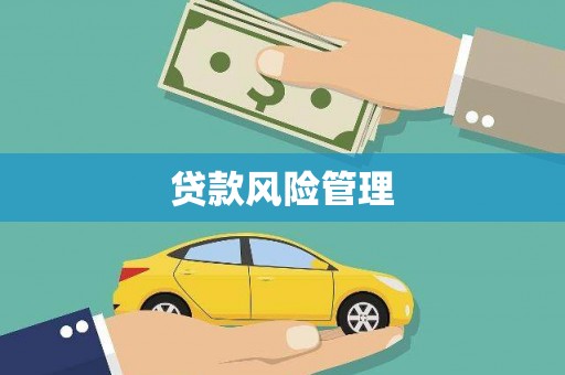 曲麻莱贷款风险管理