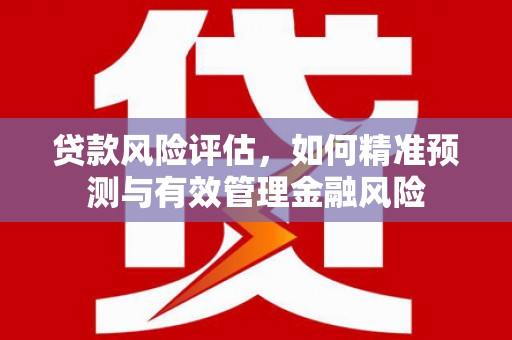 赫山贷款风险评估，如何精准预测与有效管理金融风险