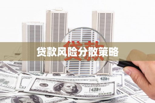 岑巩贷款风险分散策略