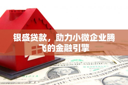 舞阳银盛贷款，助力小微企业腾飞的金融引擎