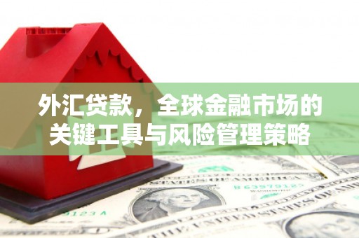 闻喜外汇贷款，全球金融市场的关键工具与风险管理策略