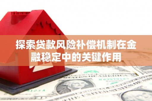 大甲探索贷款风险补偿机制在金融稳定中的关键作用