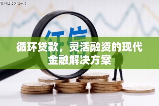 长洲循环贷款，灵活融资的现代金融解决方案