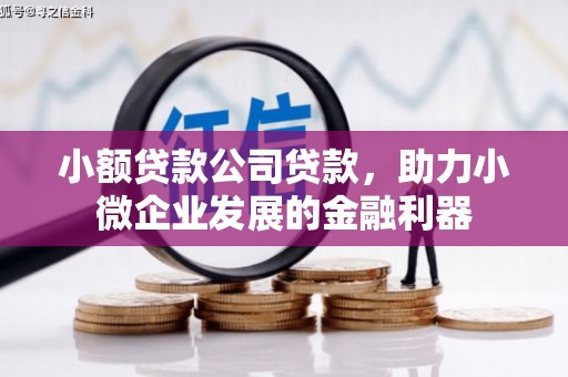 玛家小额贷款公司贷款，助力小微企业发展的金融利器