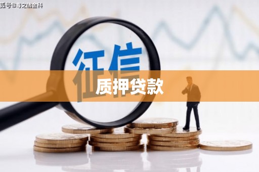 固始质押贷款