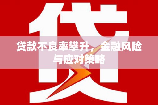 泌阳贷款不良率攀升，金融风险与应对策略