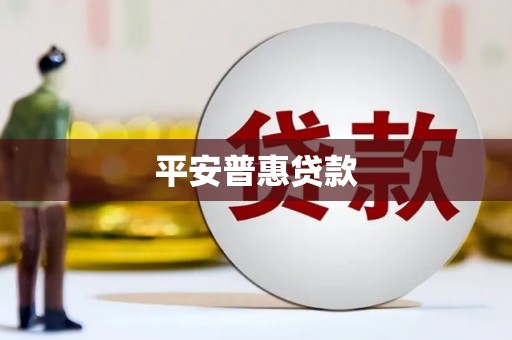 甘洛平安普惠贷款