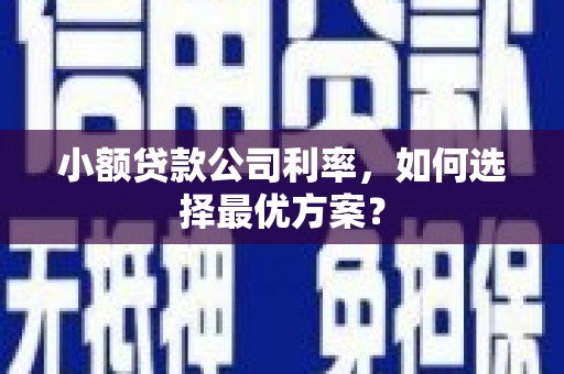 三水小额贷款公司利率，如何选择最优方案？