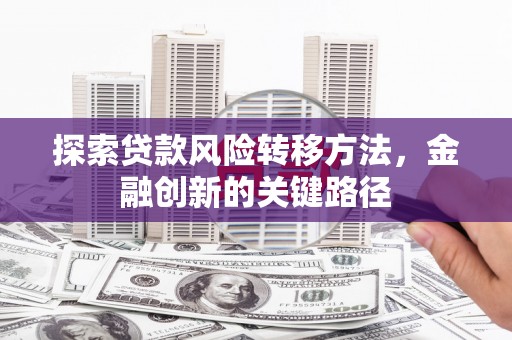 洪湖探索贷款风险转移方法，金融创新的关键路径
