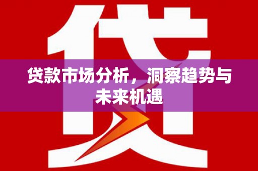 金溪贷款市场分析，洞察趋势与未来机遇