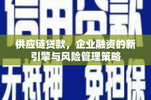 望牛墩供应链贷款，企业融资的新引擎与风险管理策略
