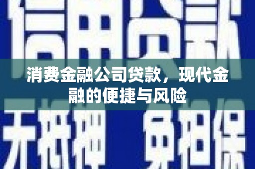 颍泉消费金融公司贷款，现代金融的便捷与风险
