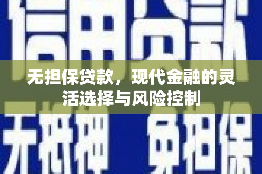 蒲城无担保贷款，现代金融的灵活选择与风险控制