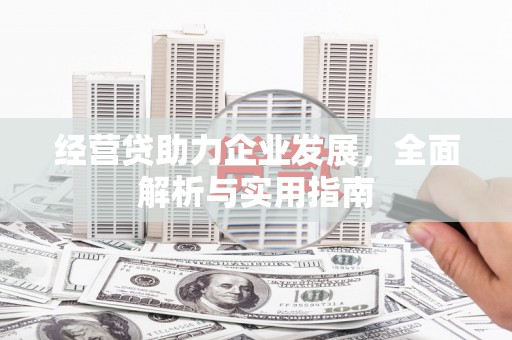 田中经营贷助力企业发展，全面解析与实用指南