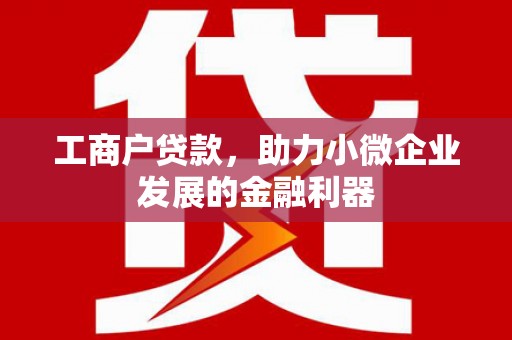 汉源工商户贷款，助力小微企业发展的金融利器