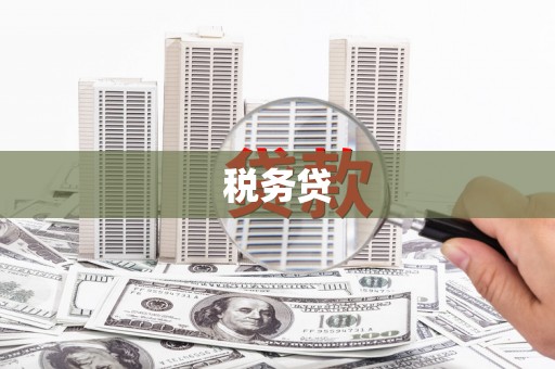 铁东税务贷