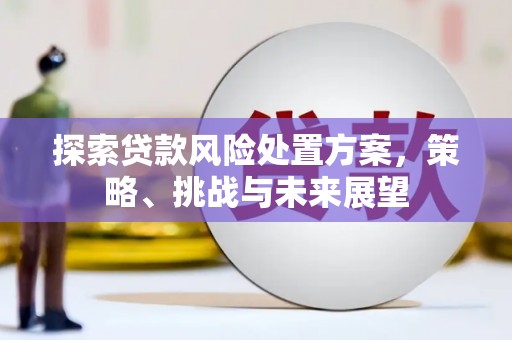 燕巢探索贷款风险处置方案，策略、挑战与未来展望