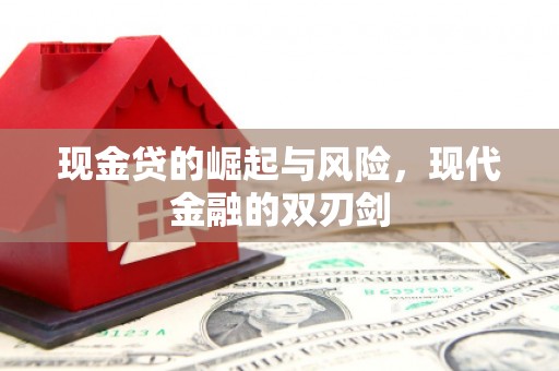 德州现金贷的崛起与风险，现代金融的双刃剑