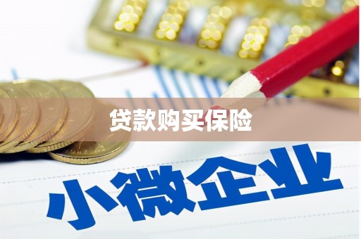 龙游贷款购买保险