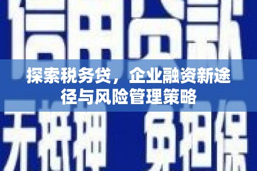 鼓楼探索税务贷，企业融资新途径与风险管理策略