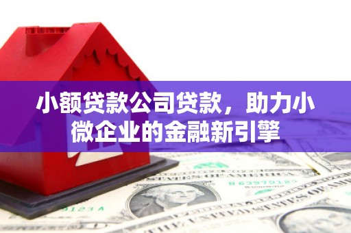 扶绥小额贷款公司贷款，助力小微企业的金融新引擎
