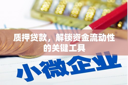 博乐质押贷款，解锁资金流动性的关键工具