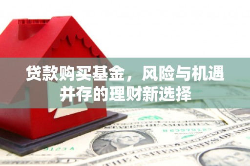 麻豆贷款购买基金，风险与机遇并存的理财新选择
