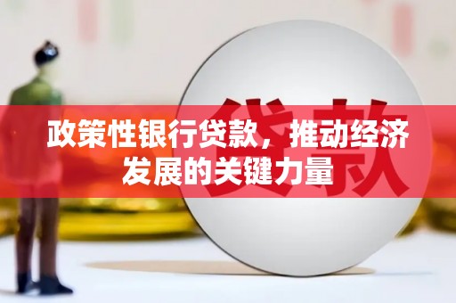 西畴政策性银行贷款，推动经济发展的关键力量