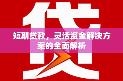 瓯海短期贷款，灵活资金解决方案的全面解析